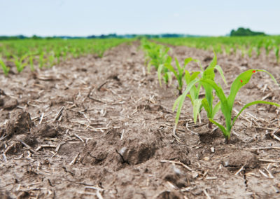 DAFoR : Améliorer la gestion de l’eau face au changement climatique pour l’agriculture en Wallonie 